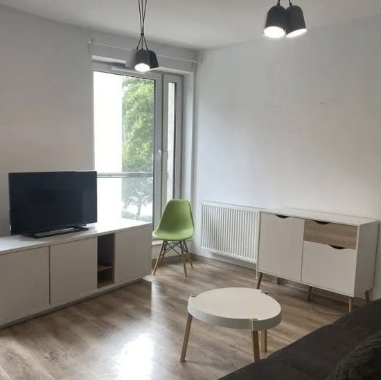 Nowoczesny apartament w centrum Poznania
